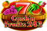 cashn-fruits-243